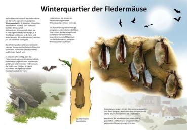 Bild- und Lehrtafel: Winterquartier der Fledermäuse